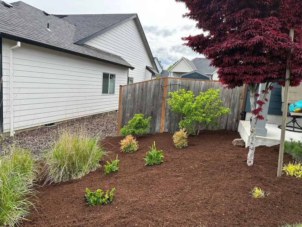 Landscape Maintenance and Renovation image